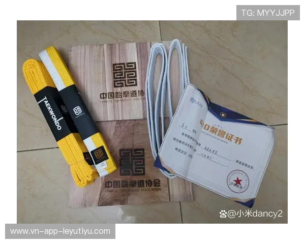 跆拳道学院完善青少年等级考试的评审专家库制度，跆拳道考级评委